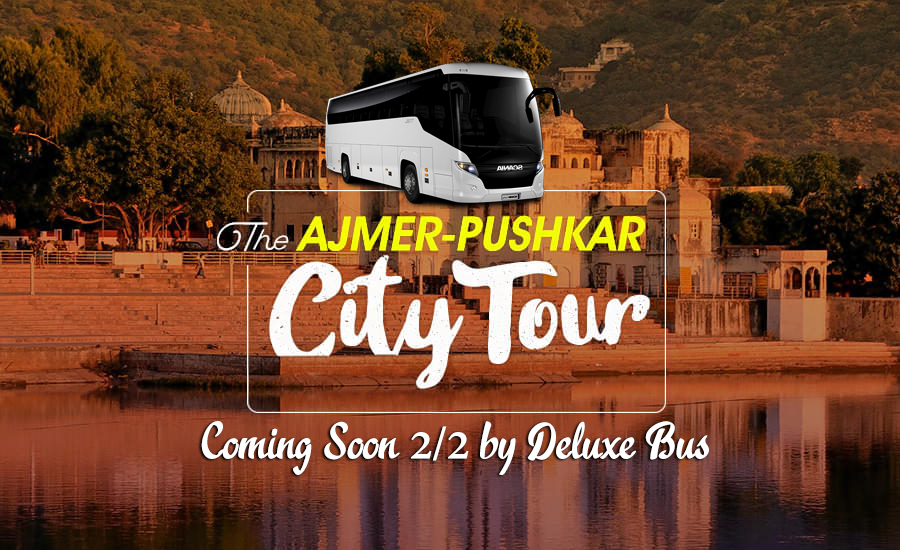 jaipur night tour bus